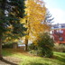 Das Rambachhaus im Herbst
